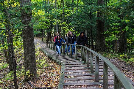 Toronto and Region Conservation Authority